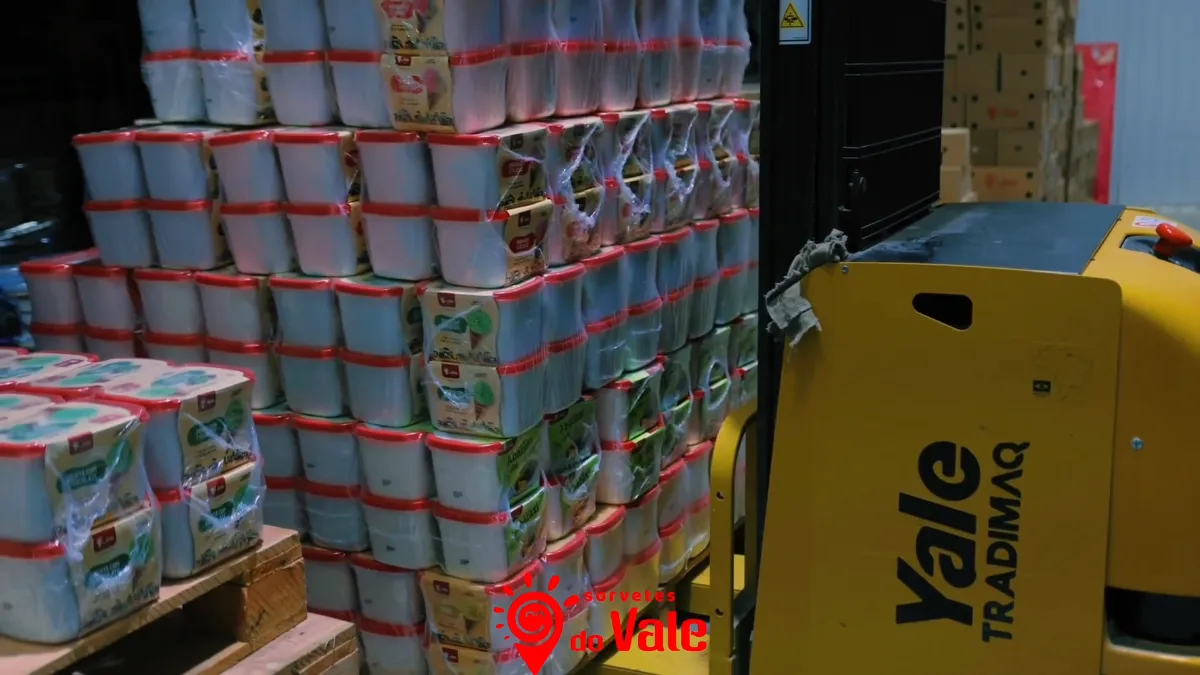 industria-sorvetes-do-vale-003
